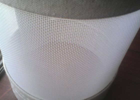 Grape Pressing Middle Ring 3x3mm Hole Polyester Spiral Belt