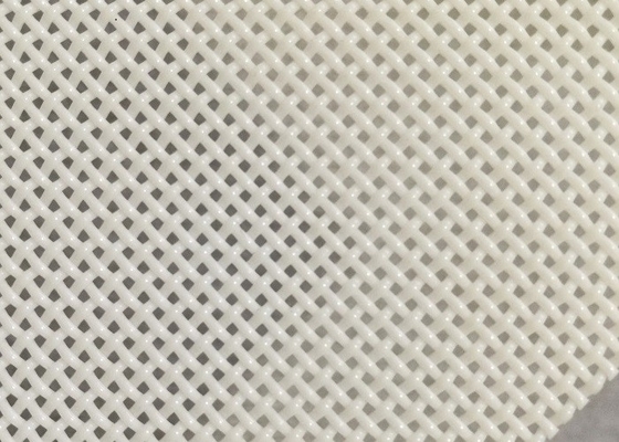 মাছের খাবার শুকানোর জন্য 1x1mm হোল সাইজ পলিয়েস্টার মেশ বেল্ট স্কোয়ার হোল
