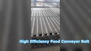 স্টেইনলেস স্টীল perforated conveyor বেল্ট